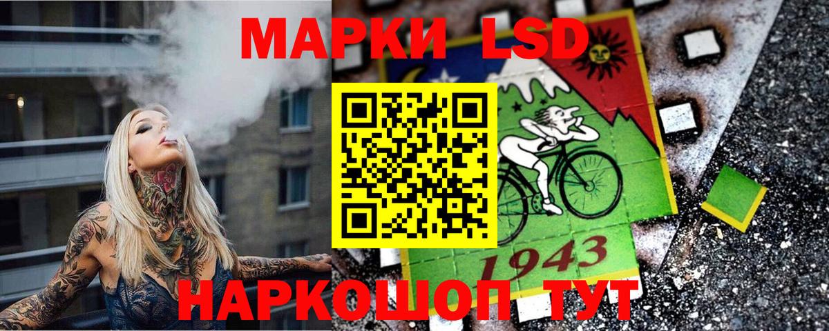 APVP Домодедово