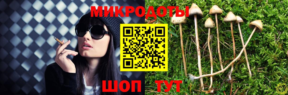 Домодедово  Галлюциногенные грибы прущие грибы  Вход с VPN 